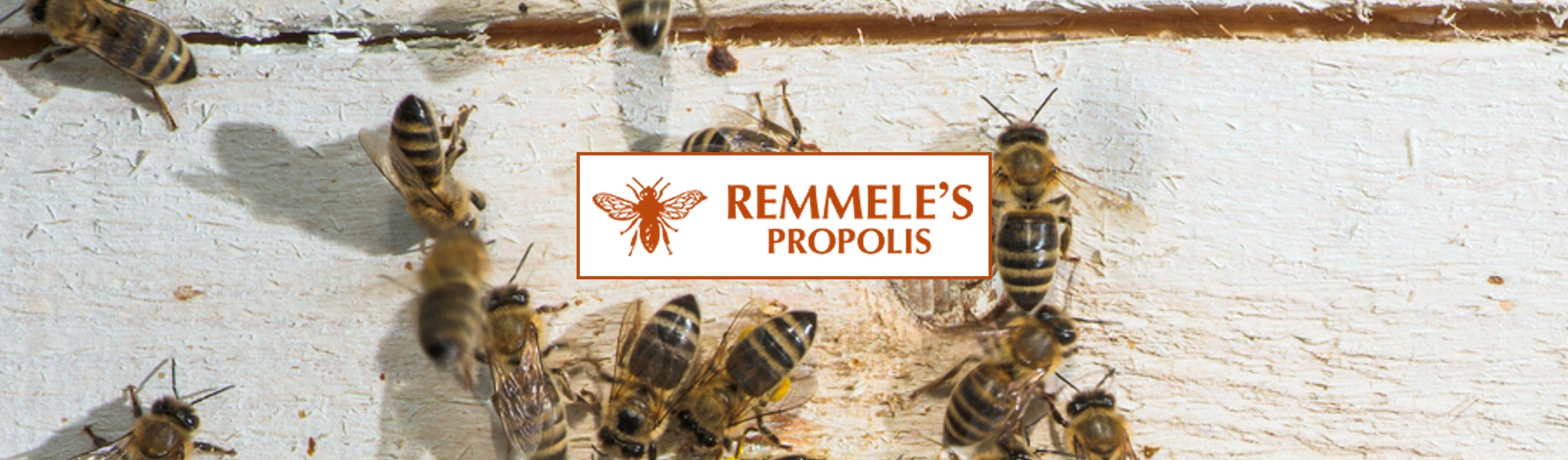 Propolis Produkte von Remmele bei HautHandFuss.de