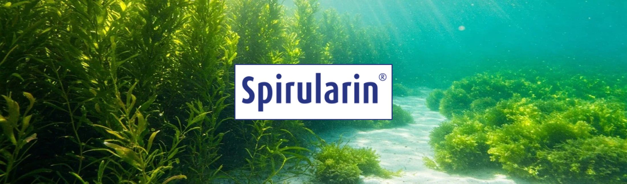 Spirularin® für Haut und Füße bei HautHandFuss.de