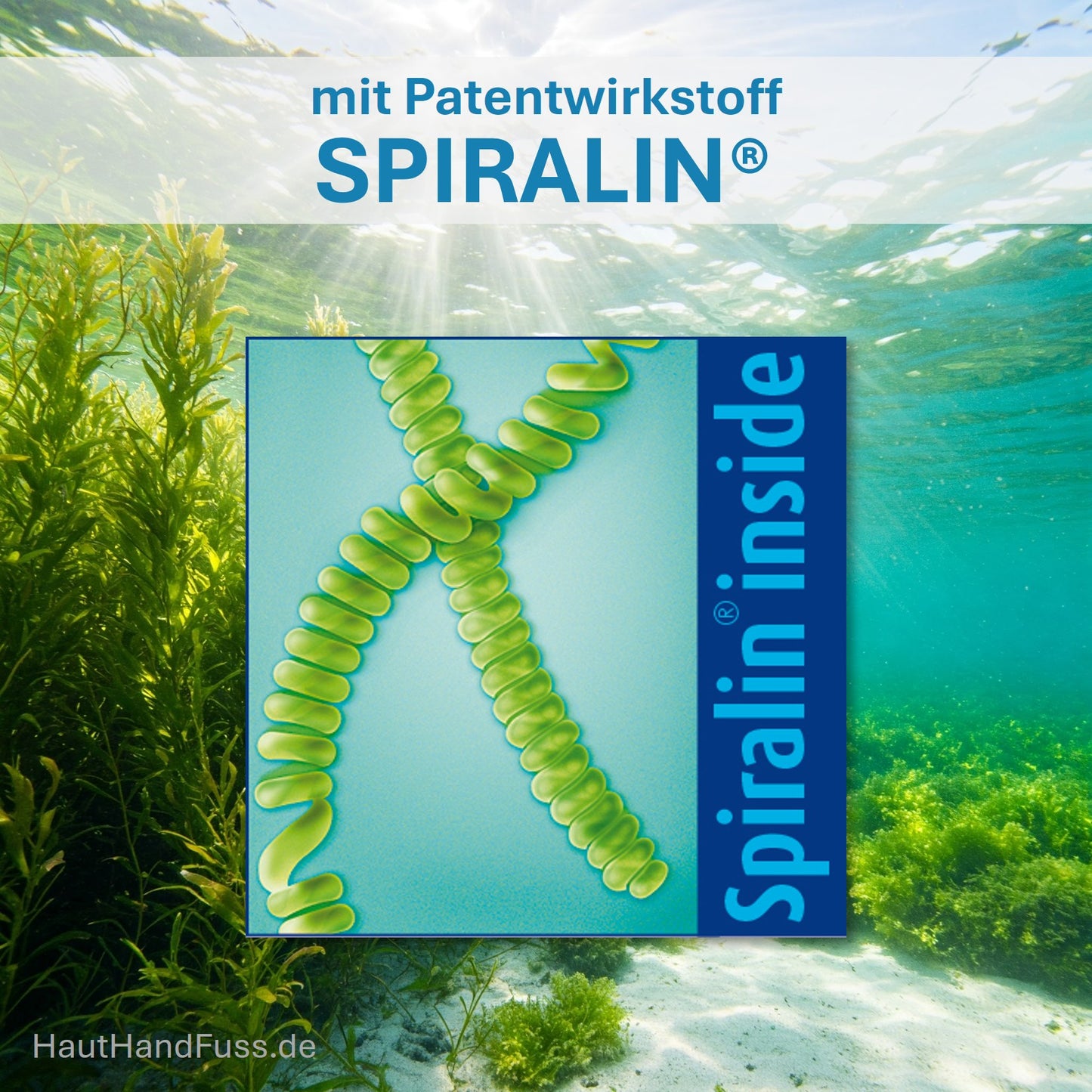 Mikroalgenwirkstoff Spiralin in Spirularin und Skinicer von Ocean Pharma bei hauthandfuss.de