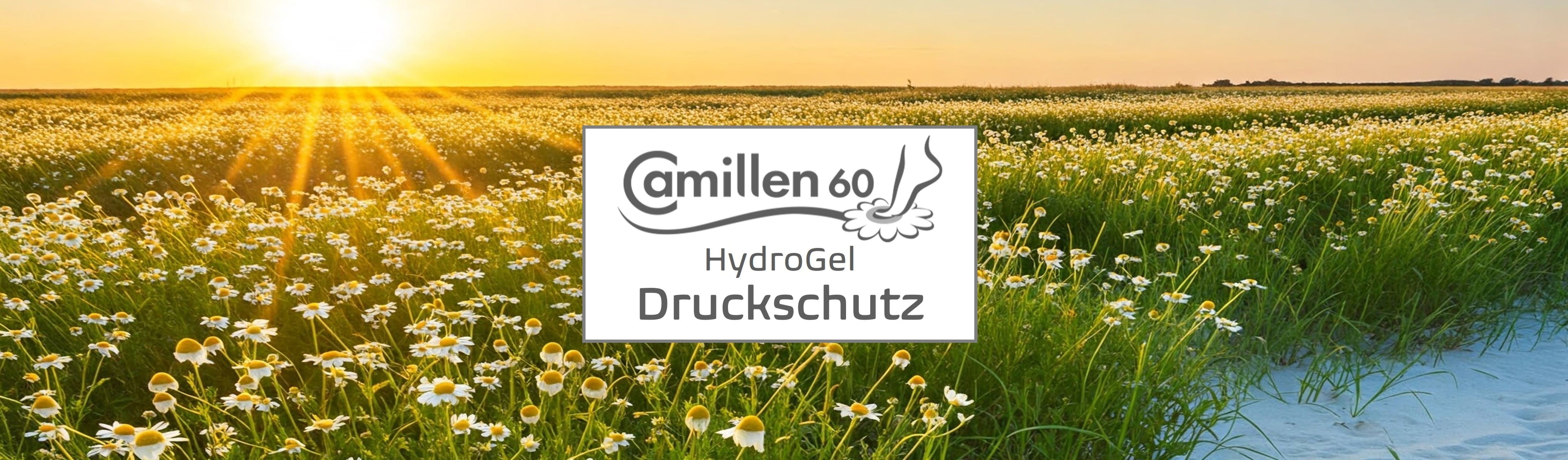 Camillen 60 Druckschutz aus Hydrogel bei HautHandFuss.de