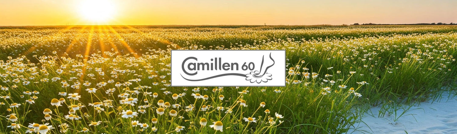 Camillen 60 – Professionelle Haut-, Hand- und Fußpflege