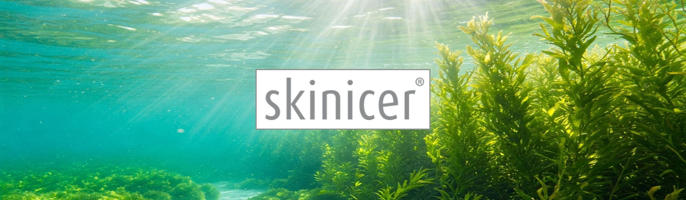 Skinicer Repair Care bei Problemhaut - Hilft Ihrer Haut, sich selbst zu helfen bei HautHandFuss.de