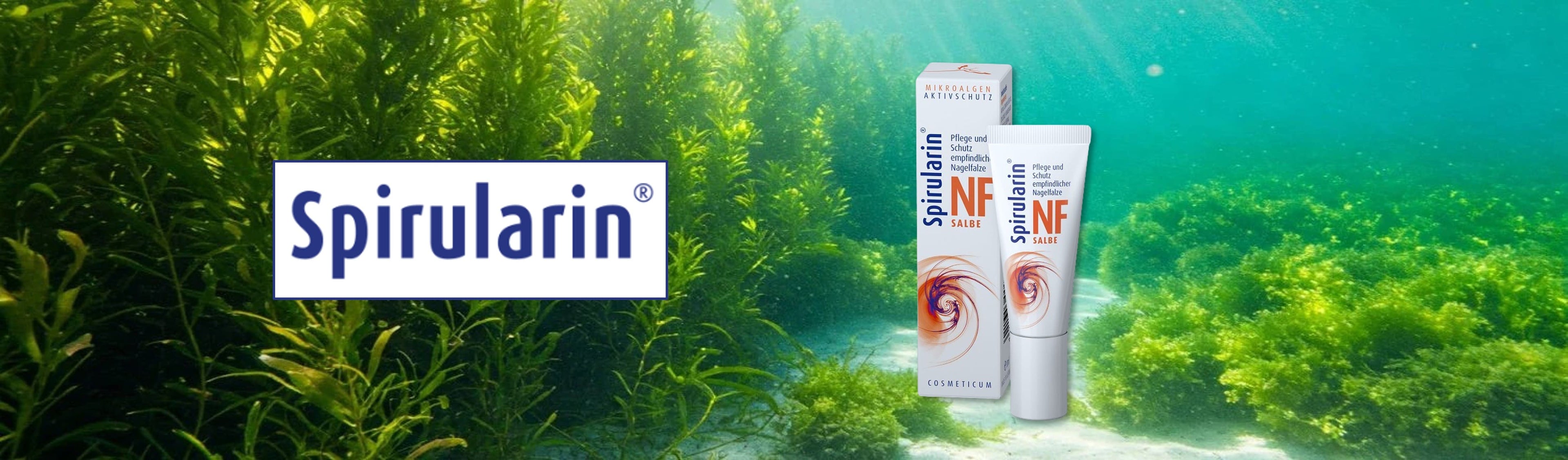 Spirularin NF Salbe bei schmerzhaften Nagelfalzen durch einwachsende Nägel