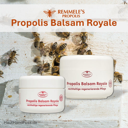 Propolis Balsam Royale von Remmele bei HautHandFuss.de