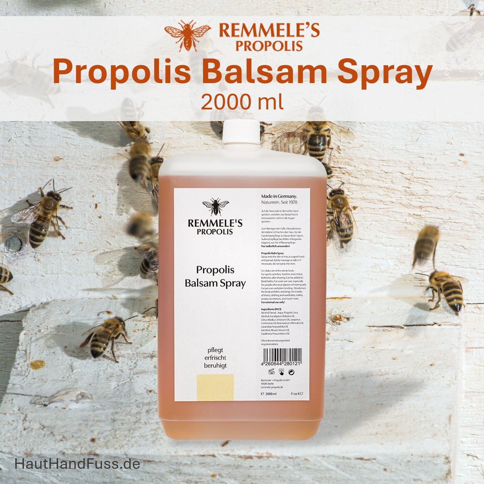 Propolis Balsam Spray 2000 ml von Remmele bei HautHandFuss.de